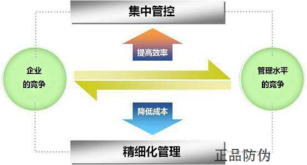 中藥材防偽追溯系統(tǒng)的開(kāi)發(fā)與信息數(shù)據(jù)庫(kù)構(gòu)建